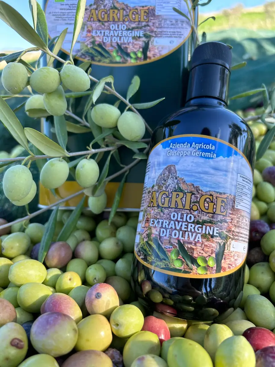 Il nostro olio e le olive