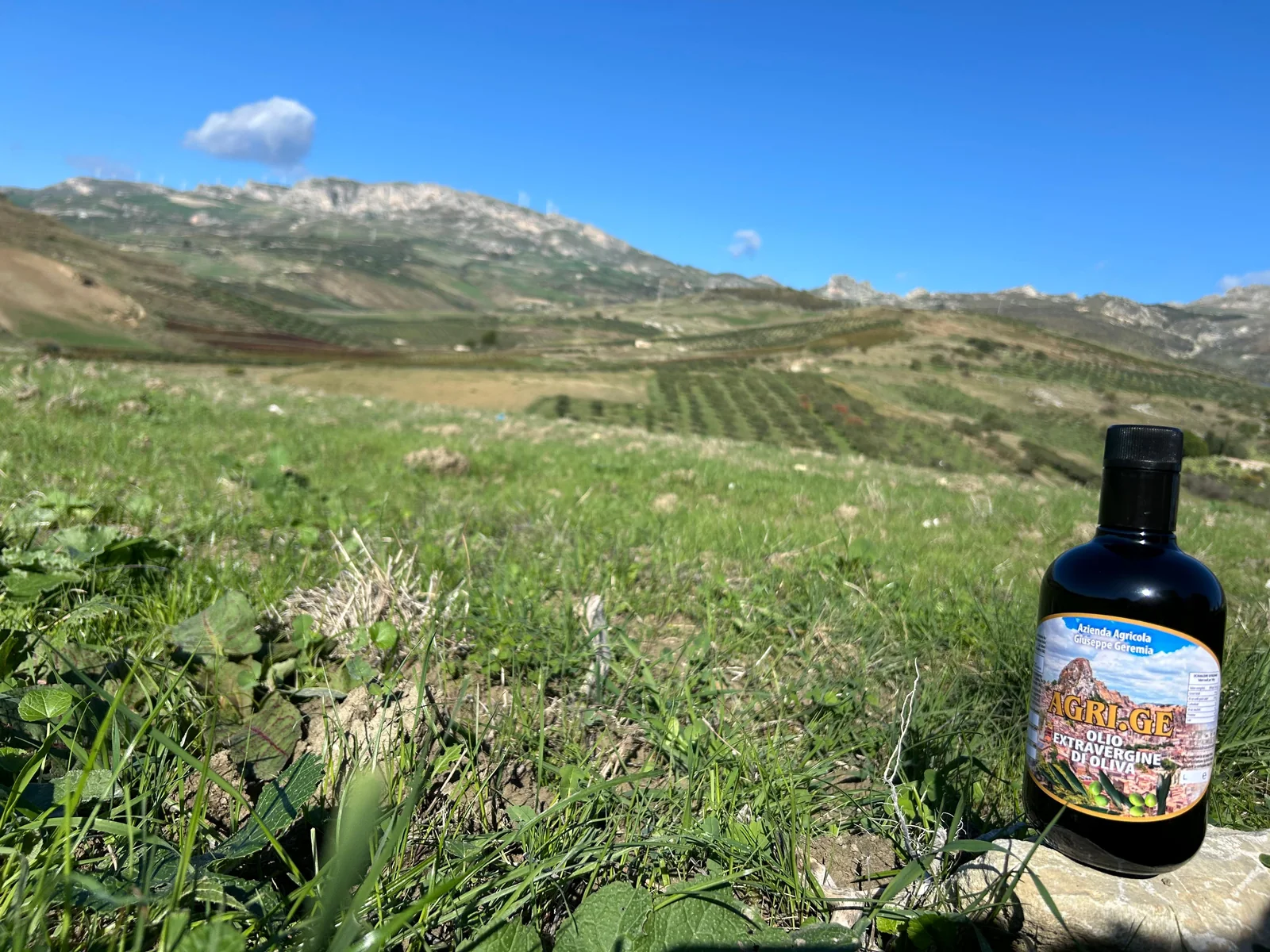 Olio e territorio