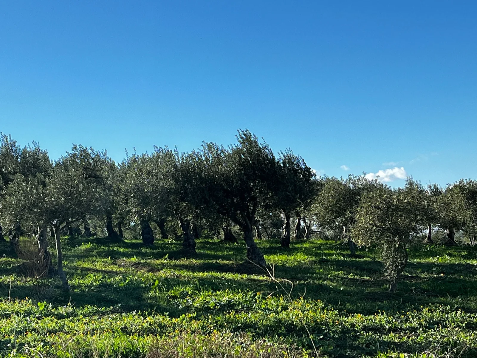 CALTABELLOTTA, SICILIA